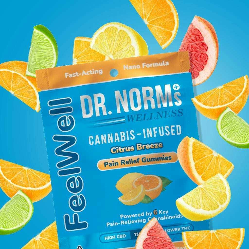 Dr. Norm's - FeelWell Citrus Breeze Gummies - FeelWell Citrus Breeze Gummies 100mg