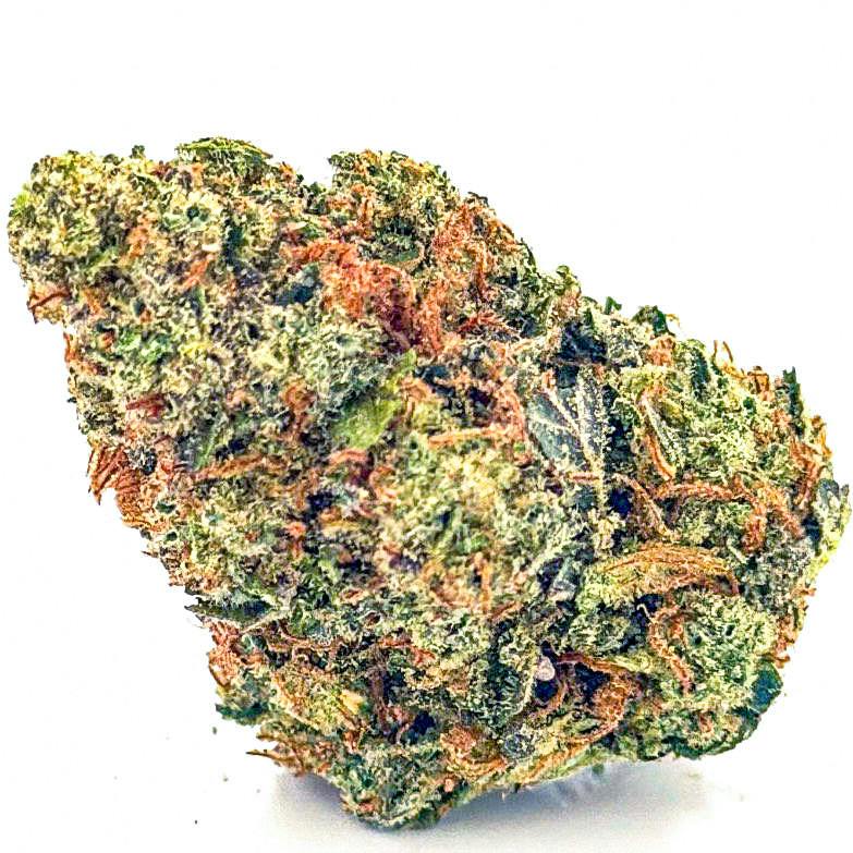 Ayo: Flower | Shakedown Street