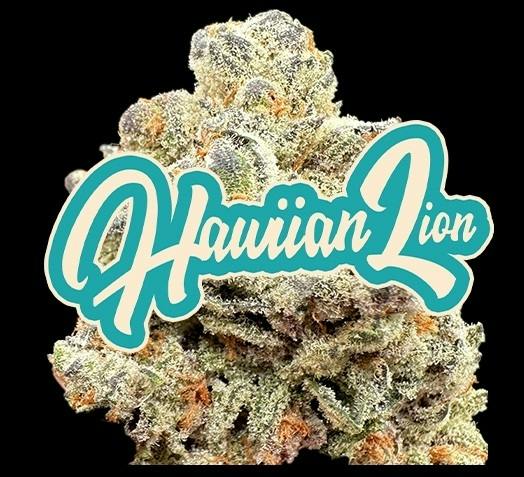 Hawaiian Lion - Hybrid - THC:30.48%