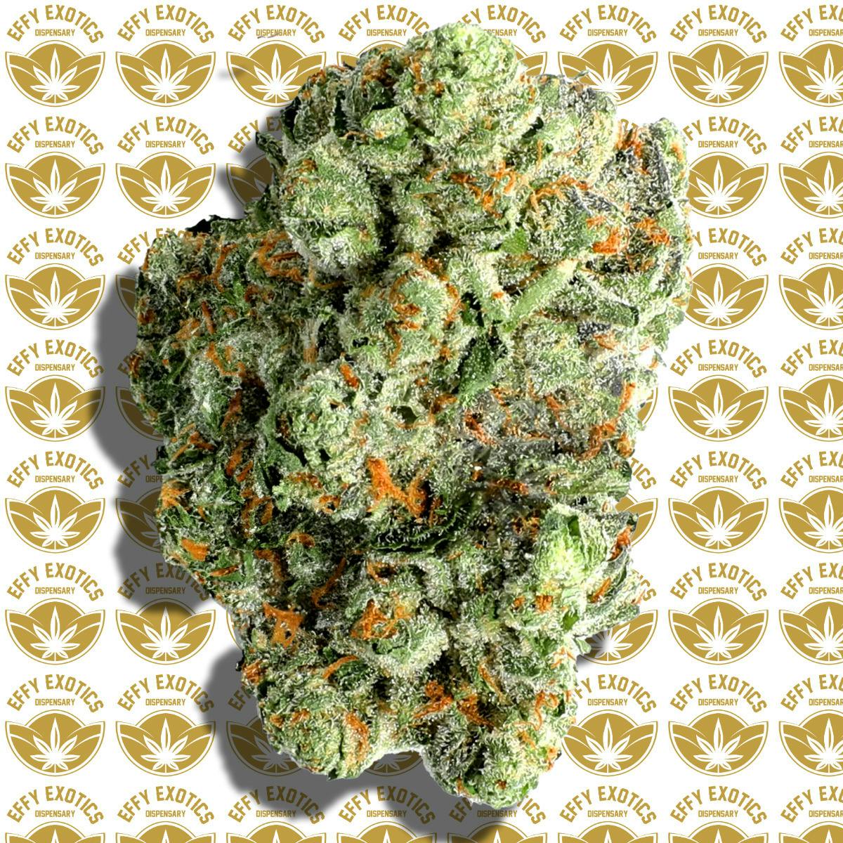 Ferrari OG (H)