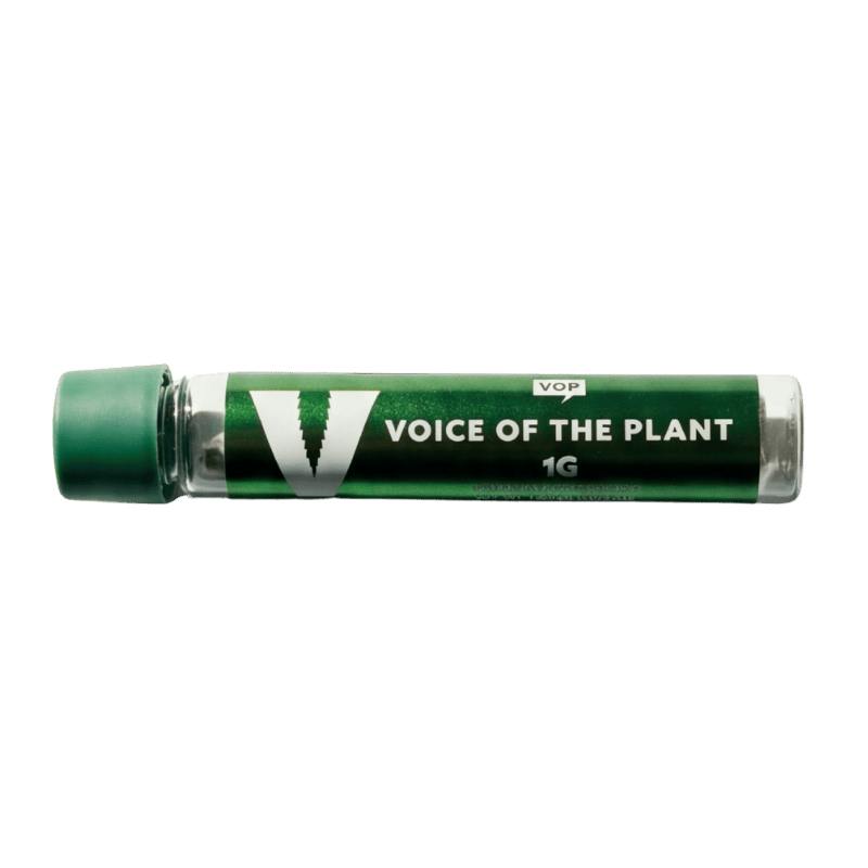 VOICE OF THE PLANT | PREROLL | 1G | - GELATO 41 | INDICA
