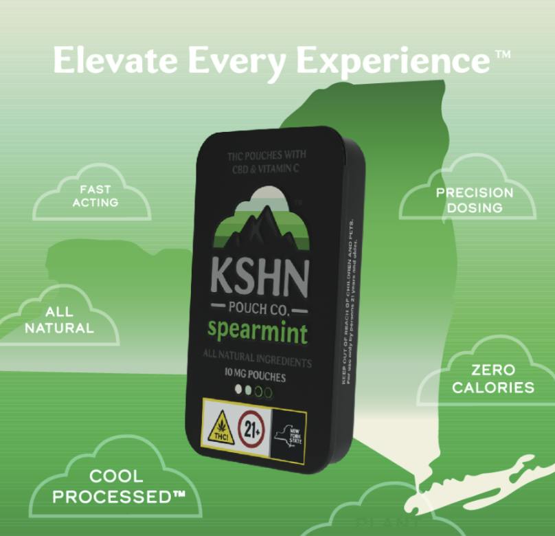 KSHN | INFUSED POUCH | 100MG | SPEARMINT