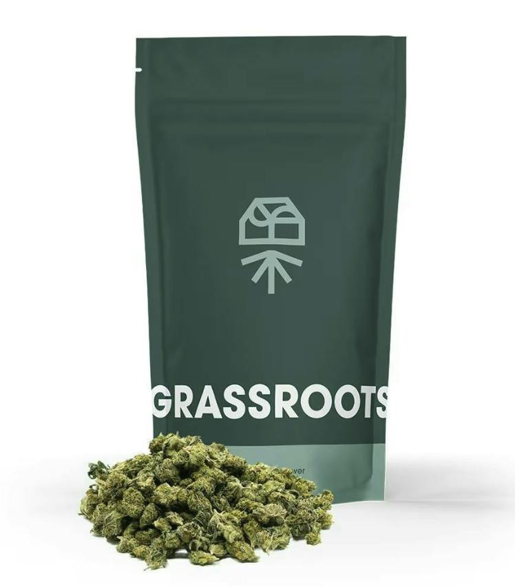 GRASSROOTS | ORANGE Z | 28G | SATIVA