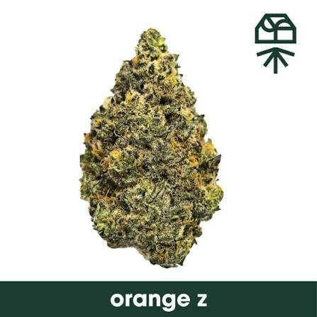 GRASSROOTS | 3.5G | ORANGE Z | SATIVA
