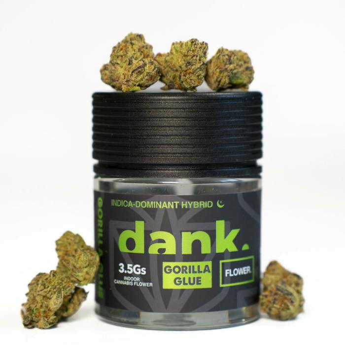 DANK | 3.5G | GORILLA GLUE $#4 | HYBRID