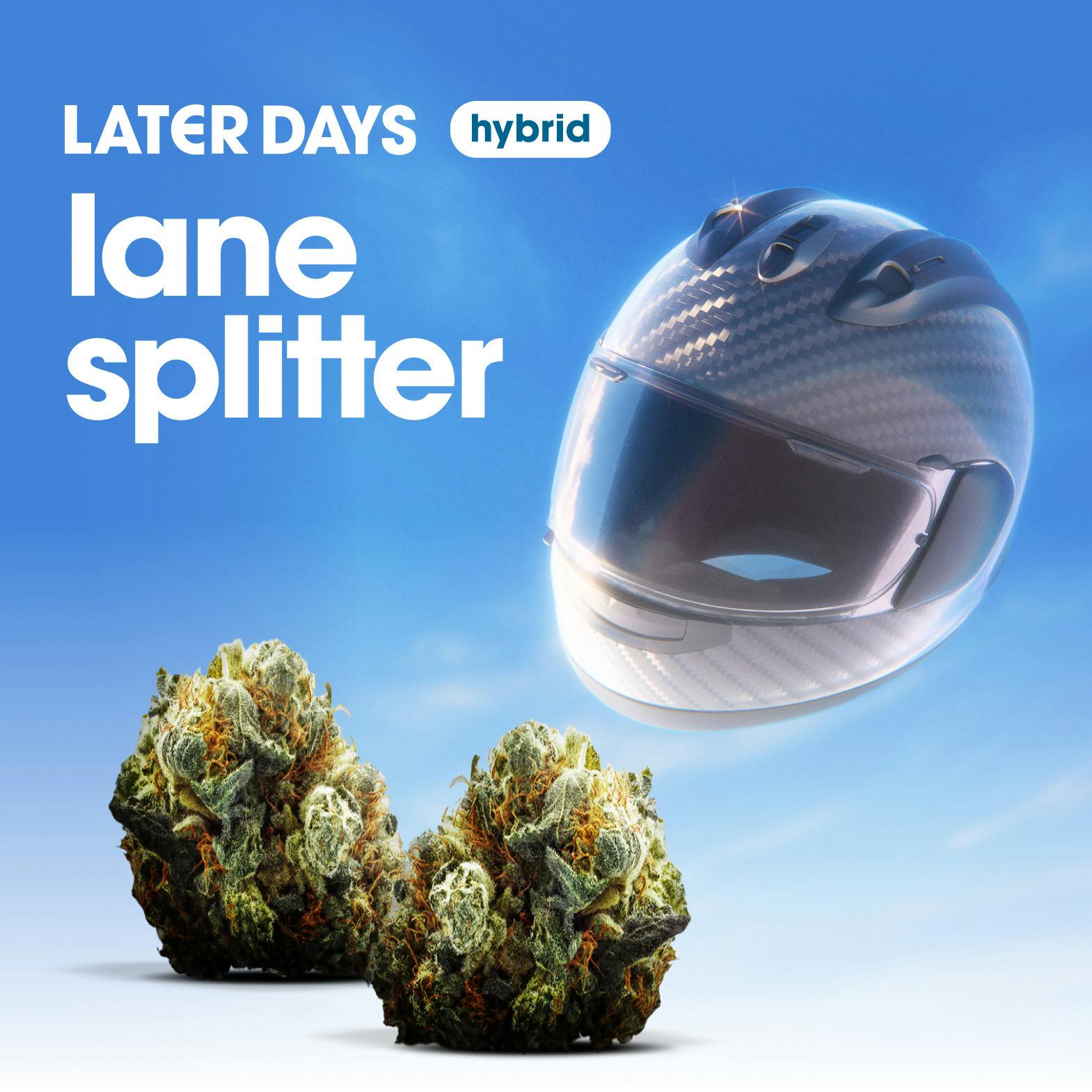 Lane Splitter Smalls