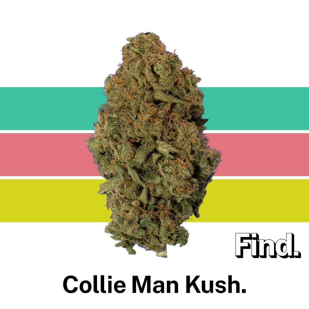 Collie Man Kush