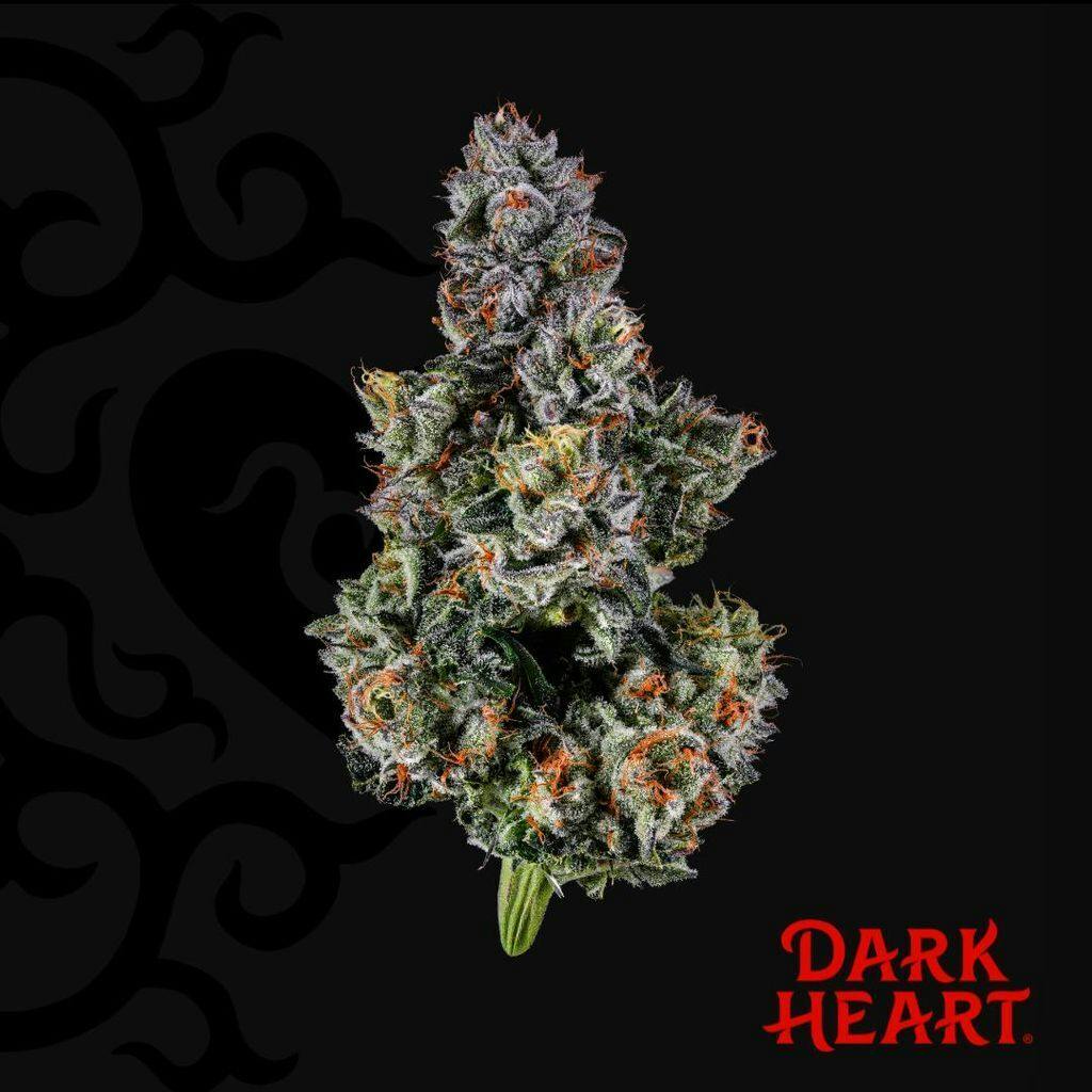 Dark Heart Trip Stack Whole Flower 3.5g