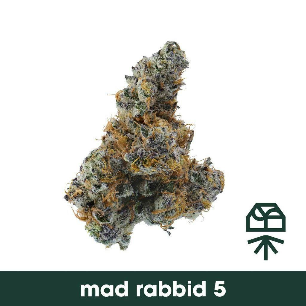 Grassroots Mad Rabbid #5 Whole Flower 3.5g