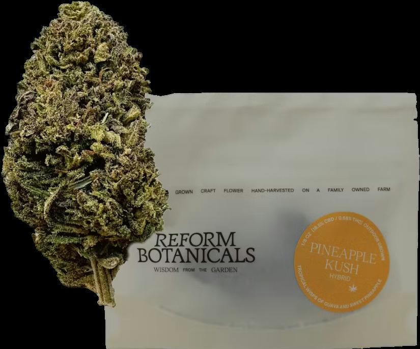 Pineapple Kush - High CBD (3.5g)