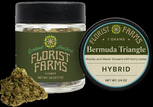 Bermuda Triangle - (7.0g)