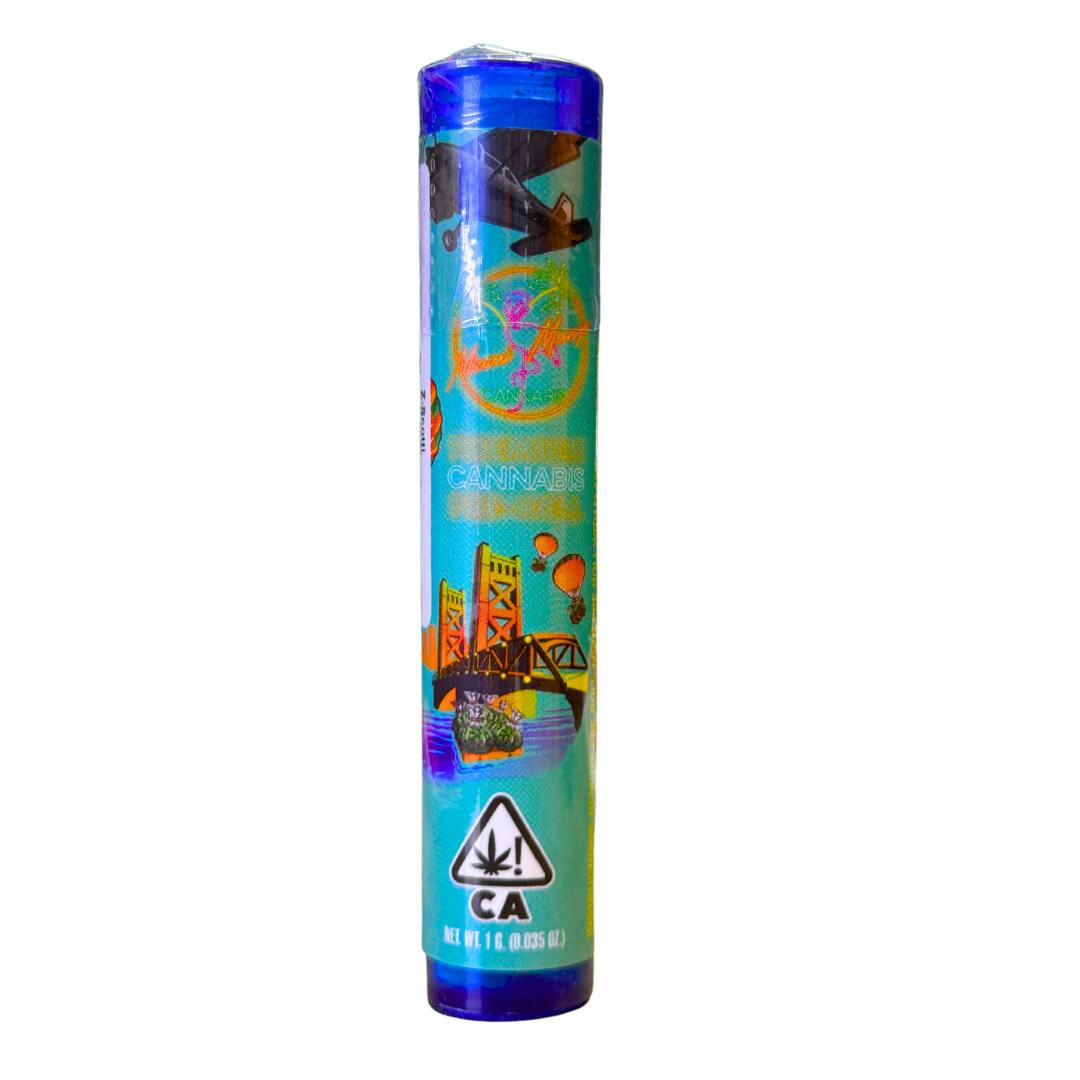 Z-SCOTTI PREROLL