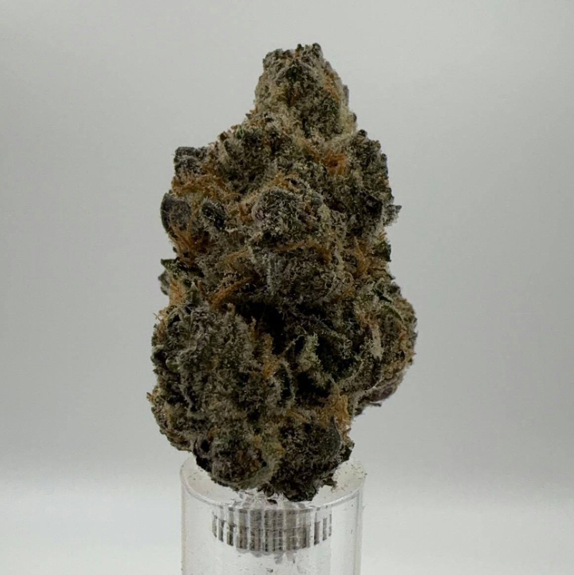 Great Weed | Jella Z