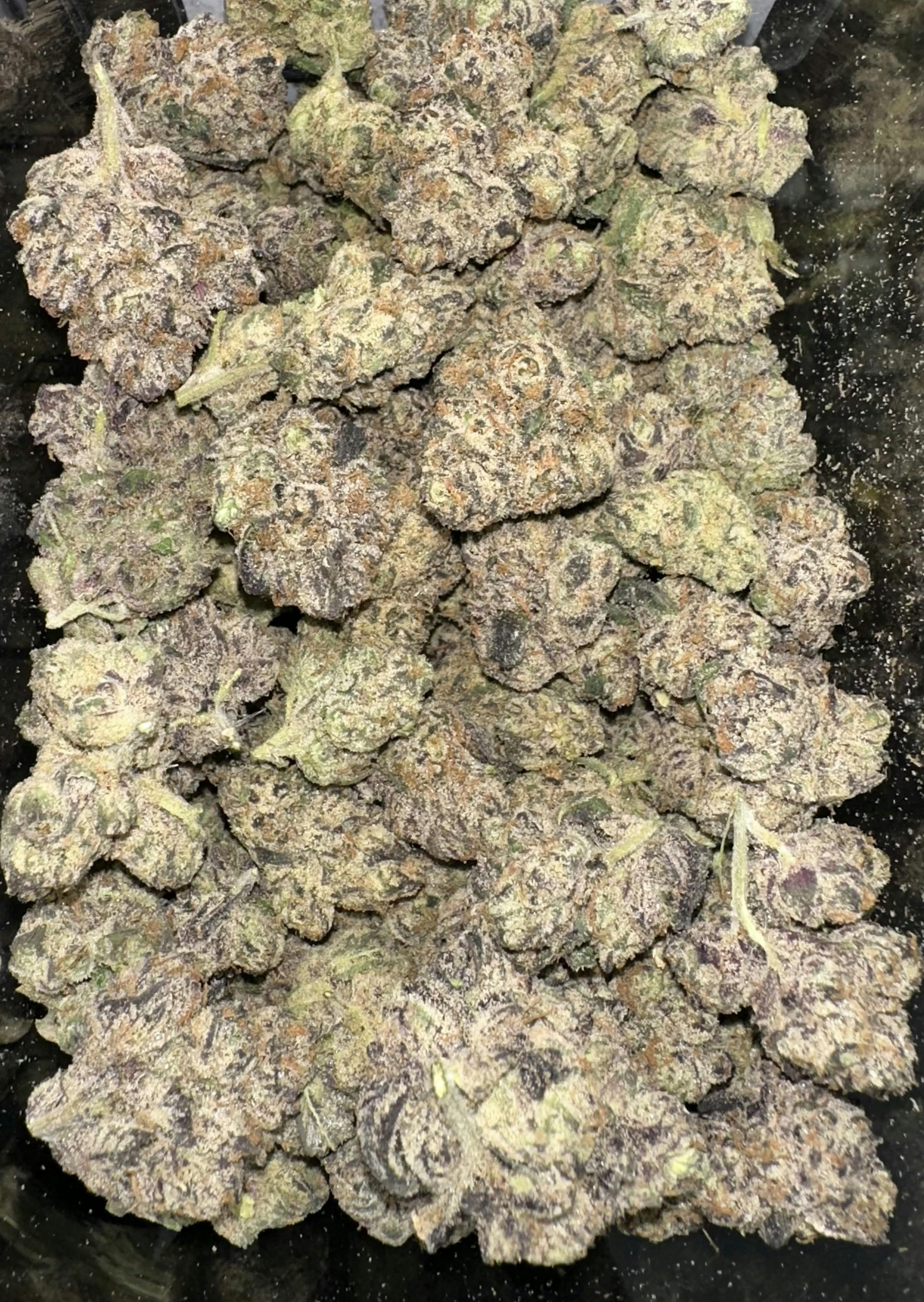 Gus's Exotics | Now THATS What I Call ZA Vol. 1 cannabis product