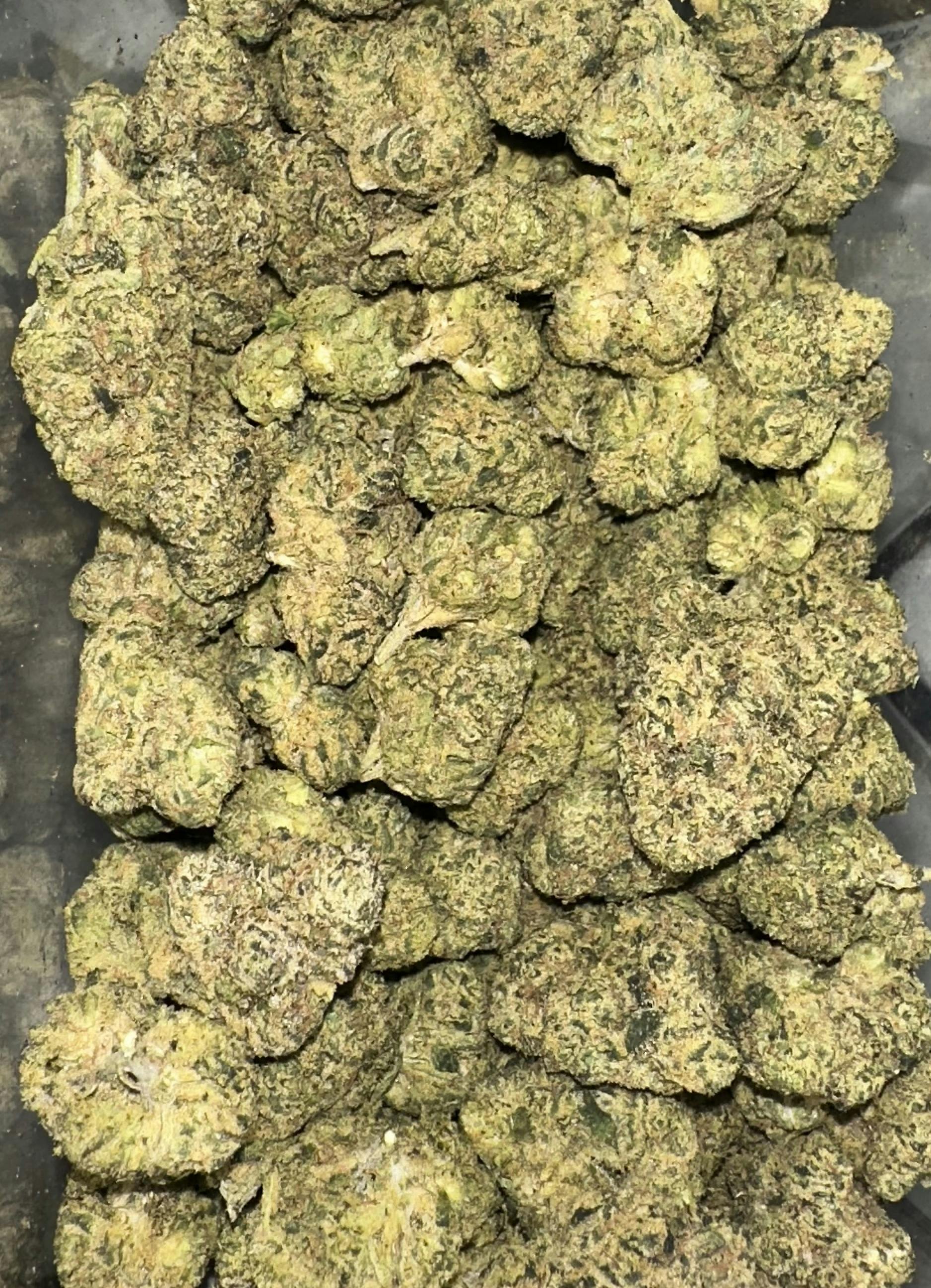 Pop Canna | Popz 41 cannabis product