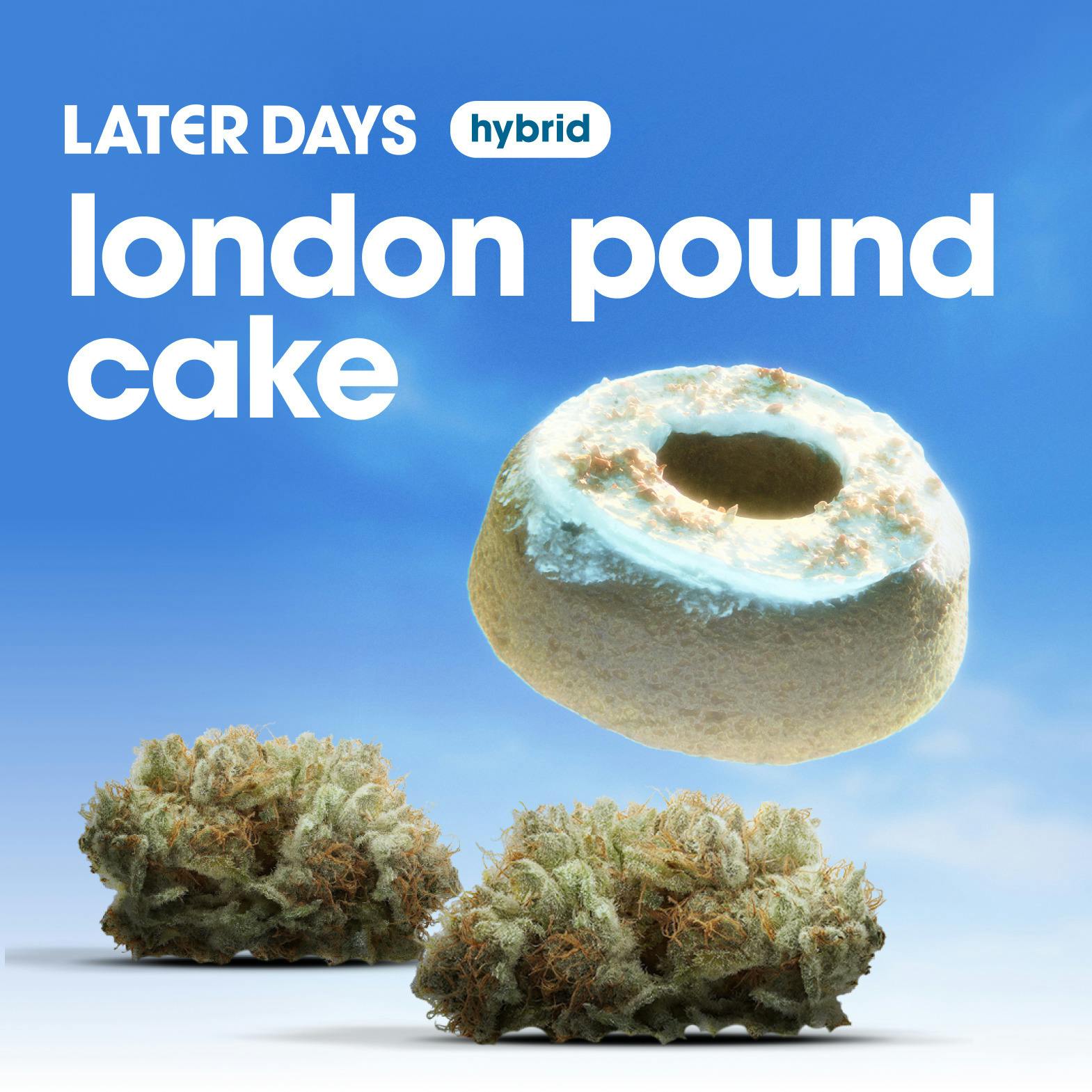 London Pound Cake Flower at AYR Cannabis Dispensary Gainesville