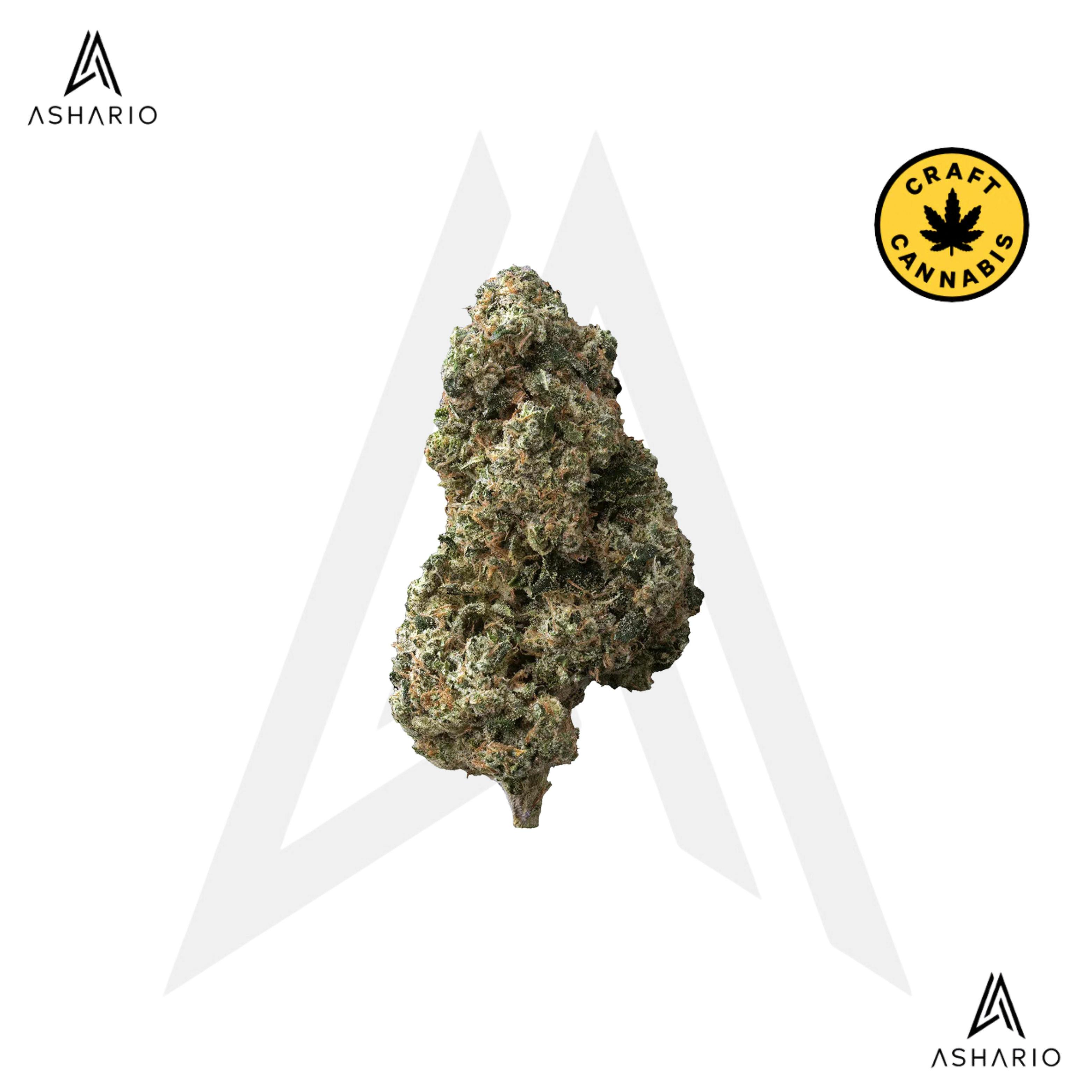 Sticky Bunz | 28g