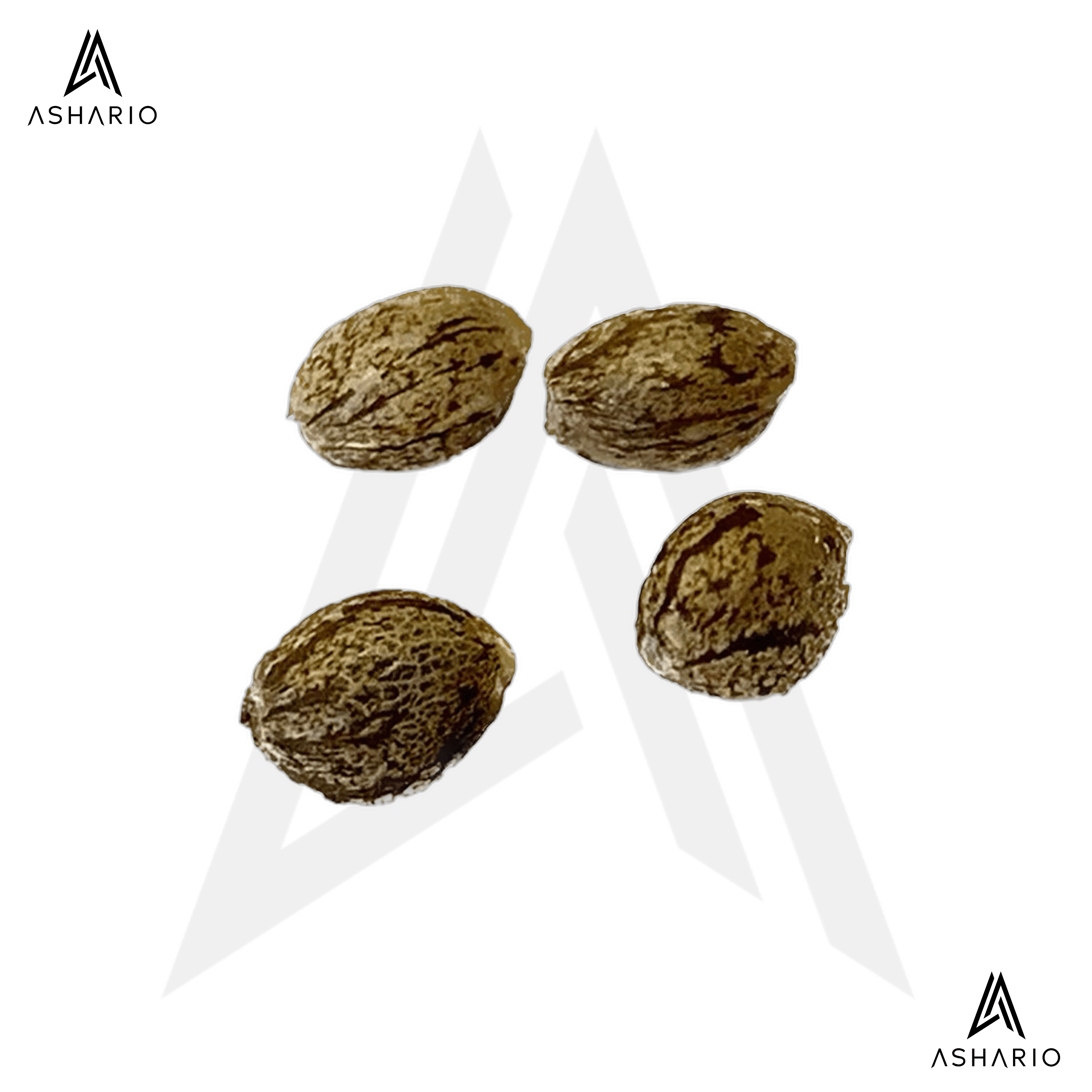 Mendocino Cherry Pie THC Auto | 4 Pack Seeds