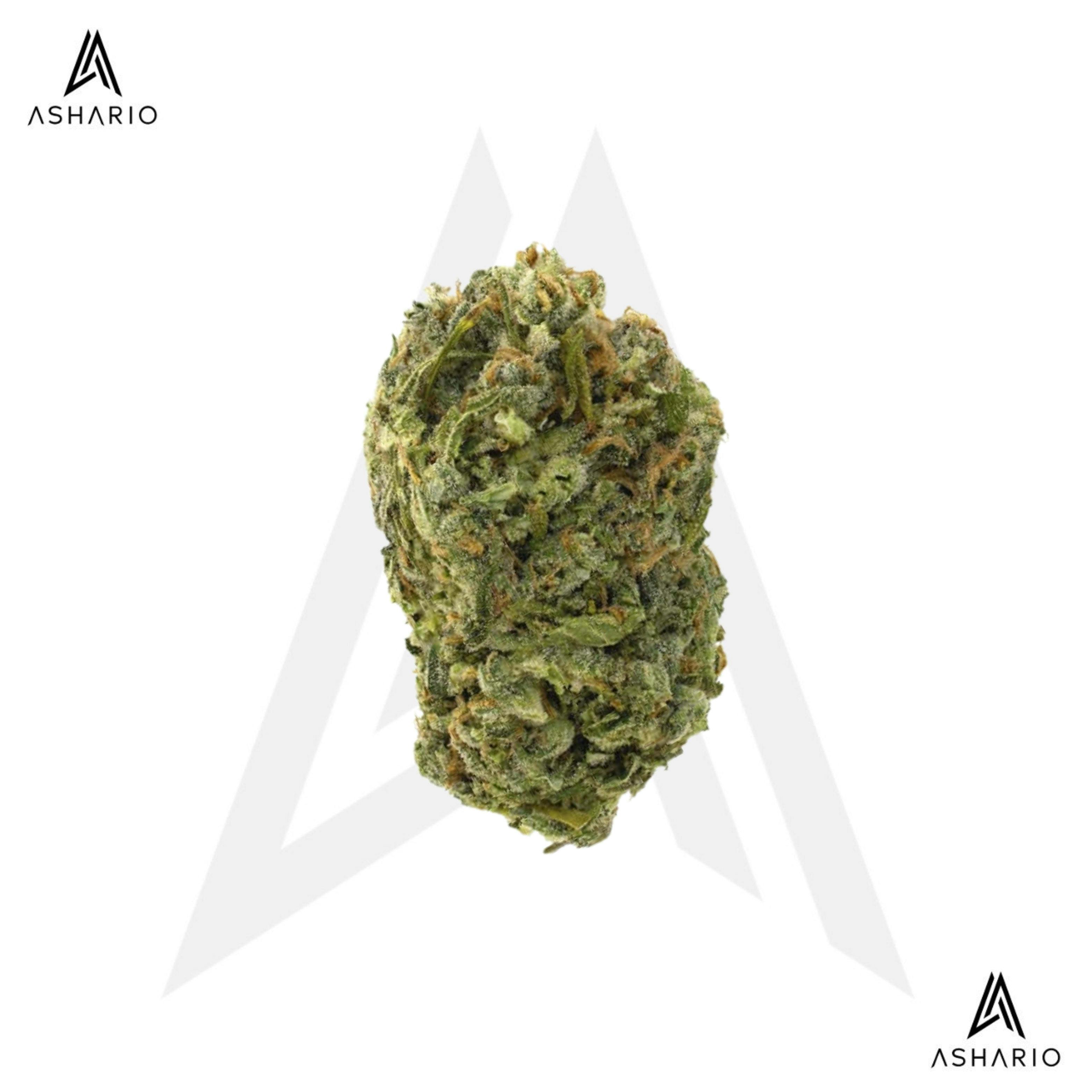Silver Diesel | 7g