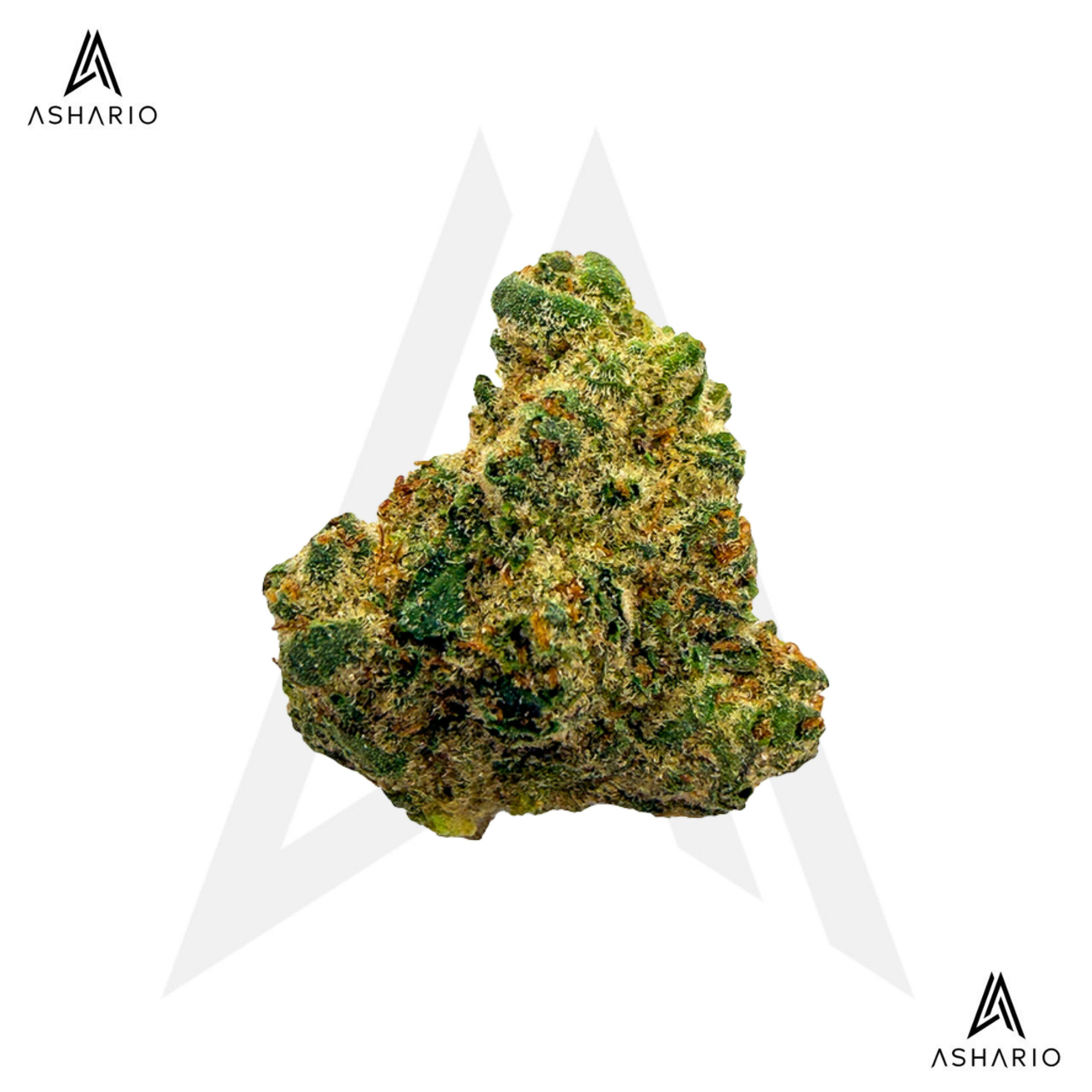 Northern Lights | 28g