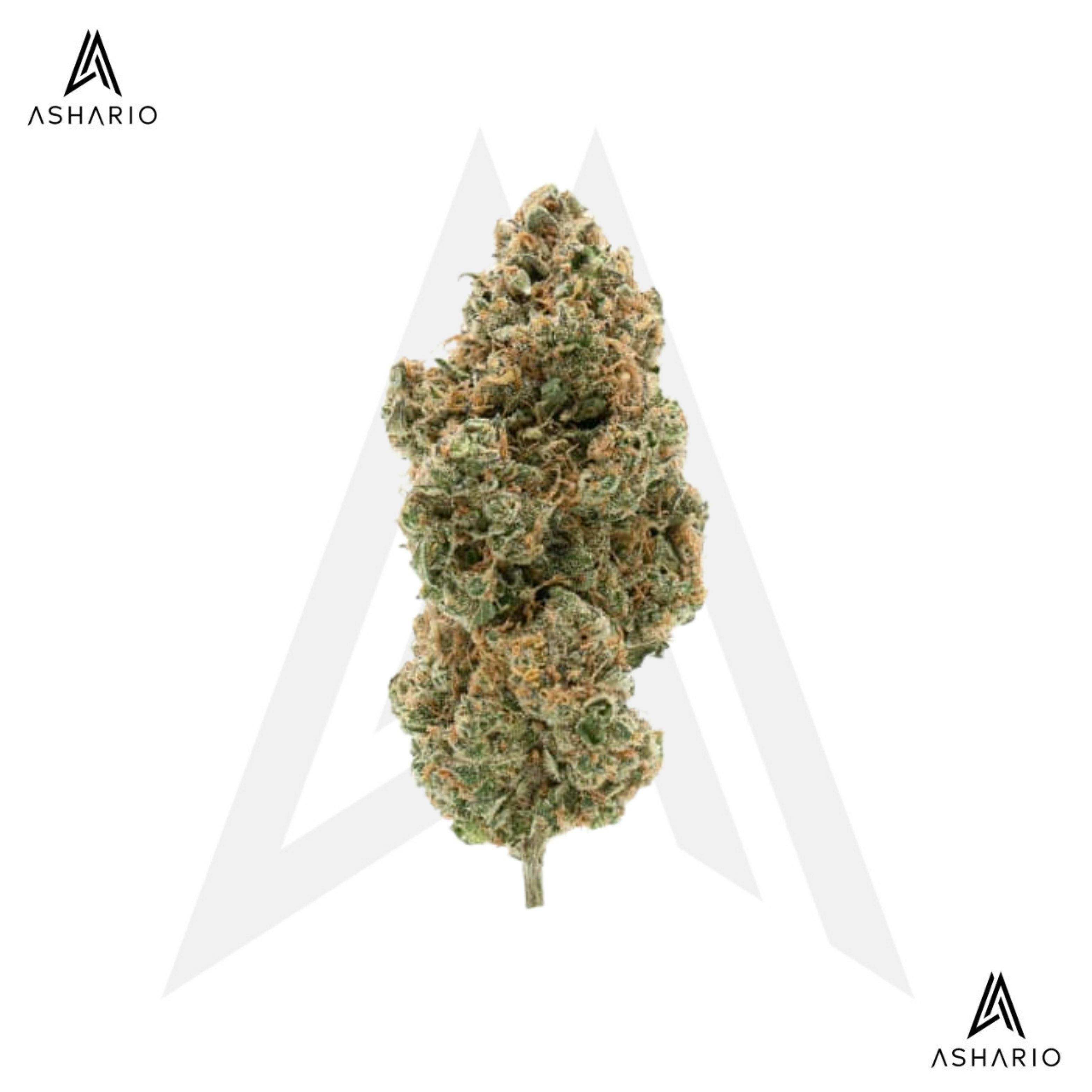BC Organic Tangerine Sunrise | 3.5g