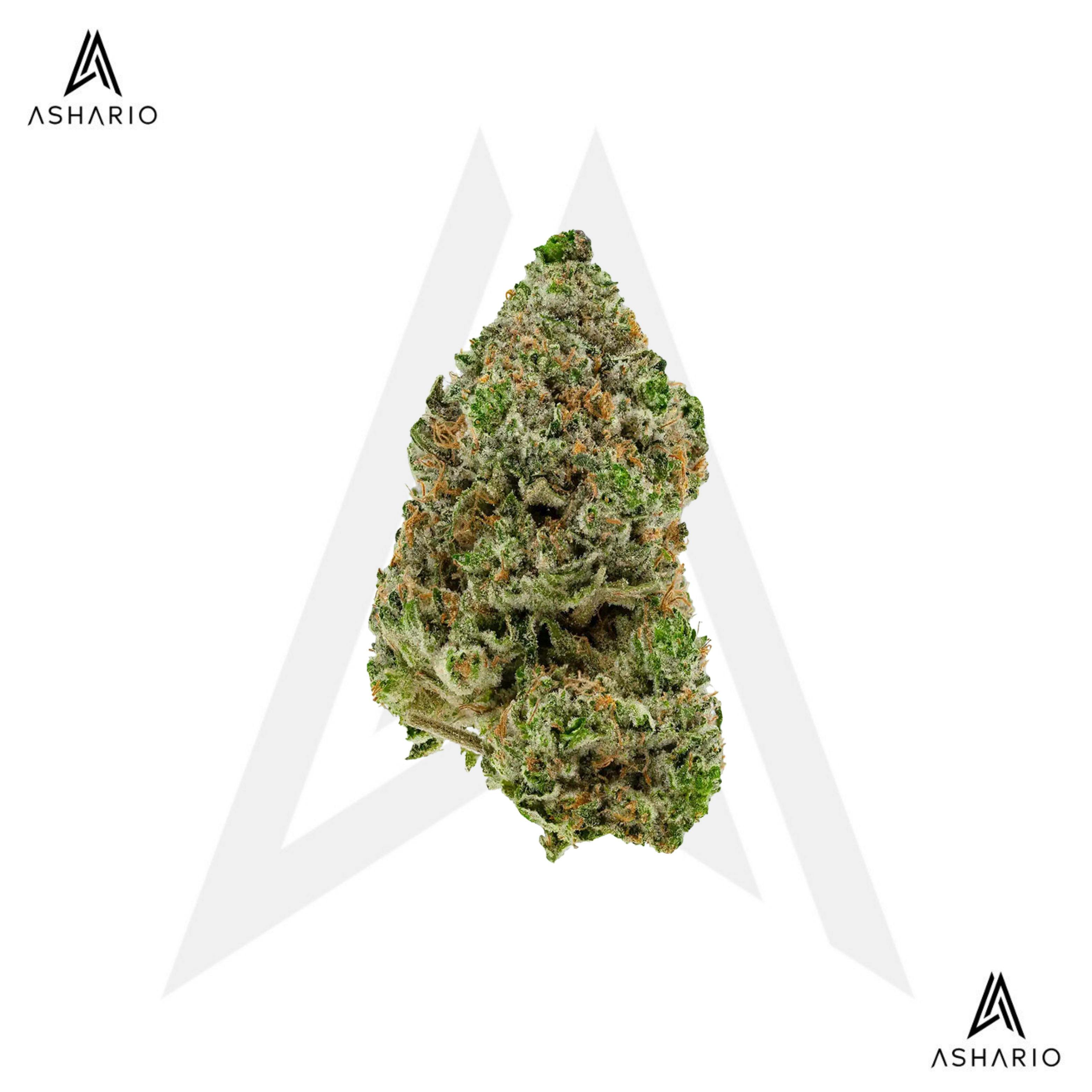 Hibachi Blue | 3.5g
