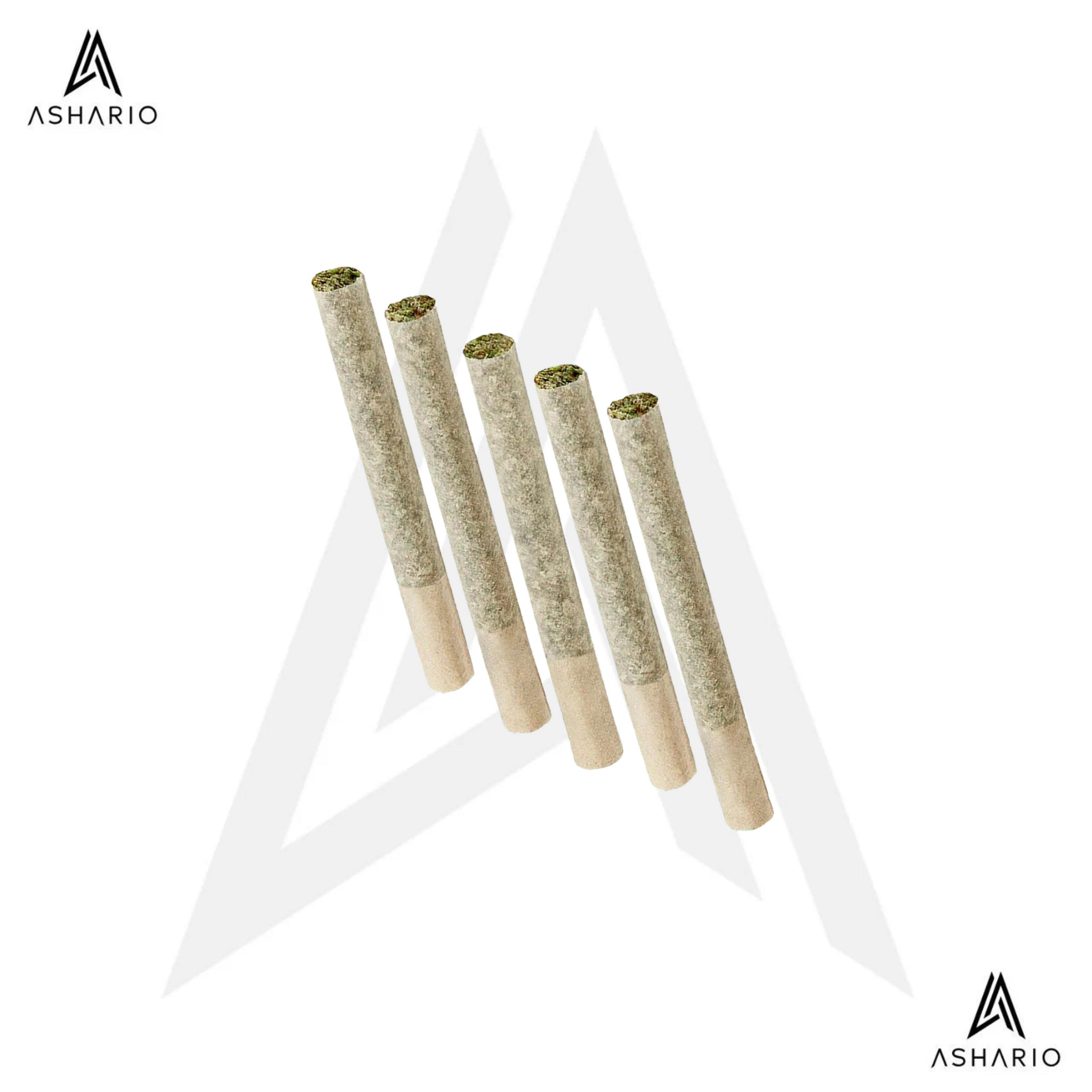 Coastal Cuts | 5x0.5g
