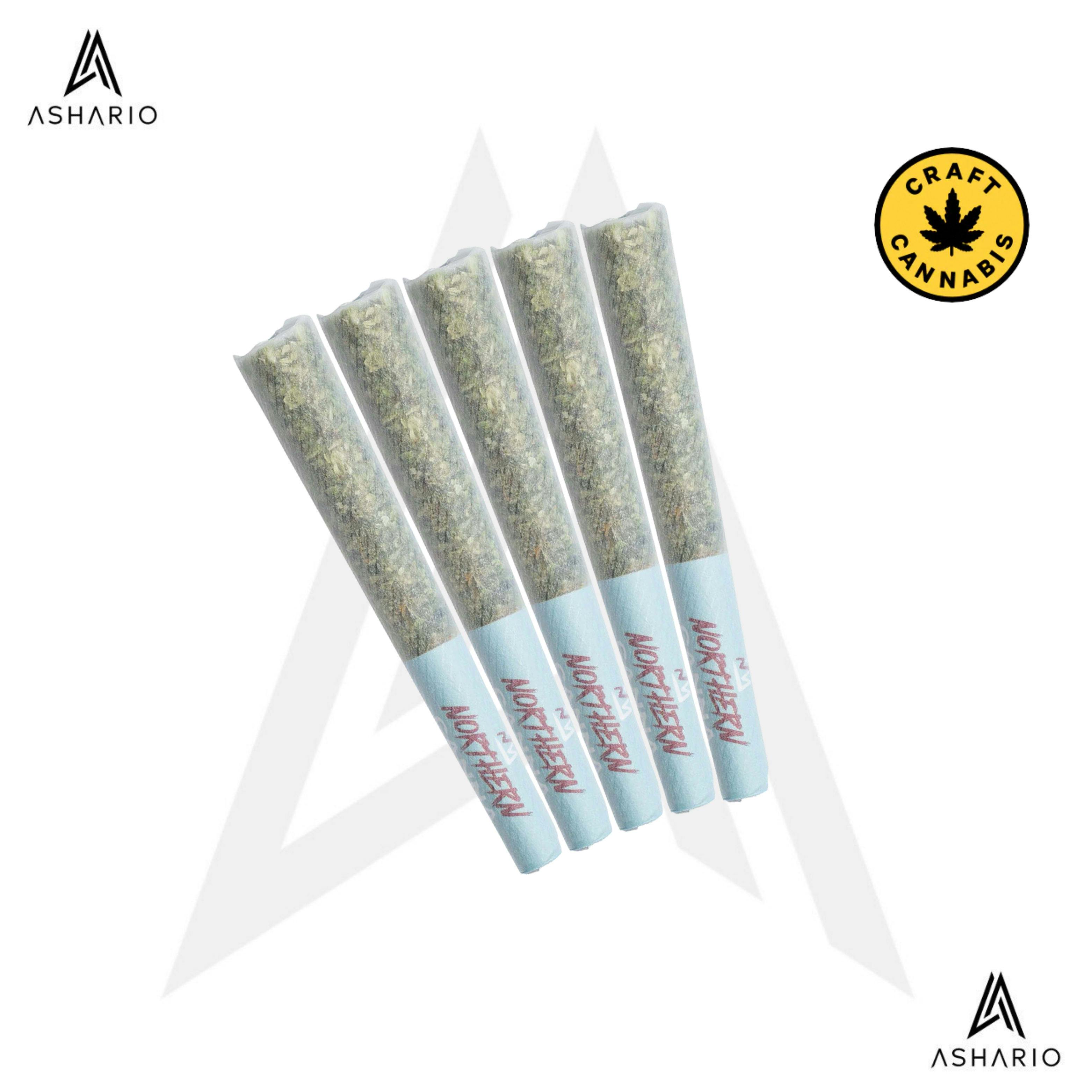 East Coast Animal | 5x0.5g