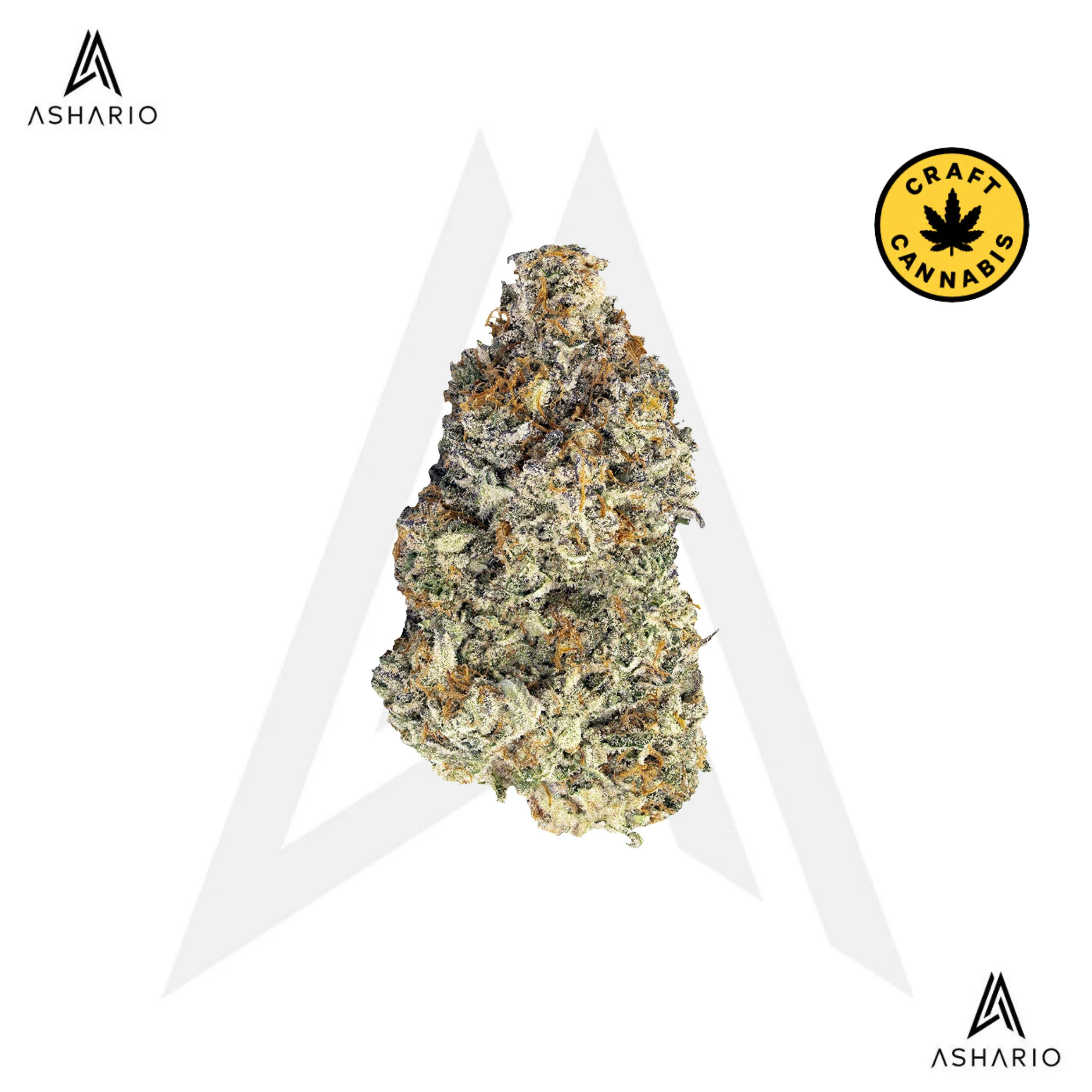Britscotti | 14g
