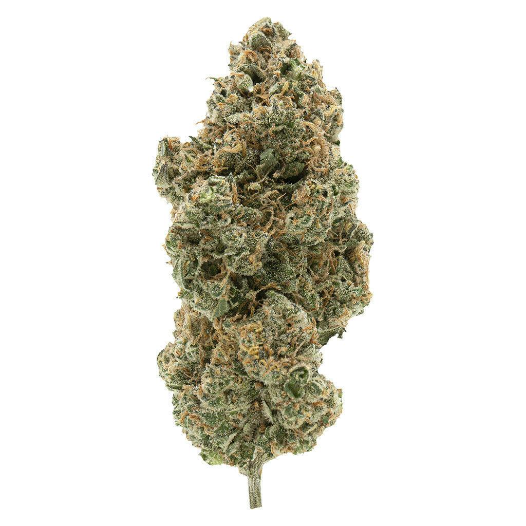 BC Organic Tangerine Sunrise | 28g