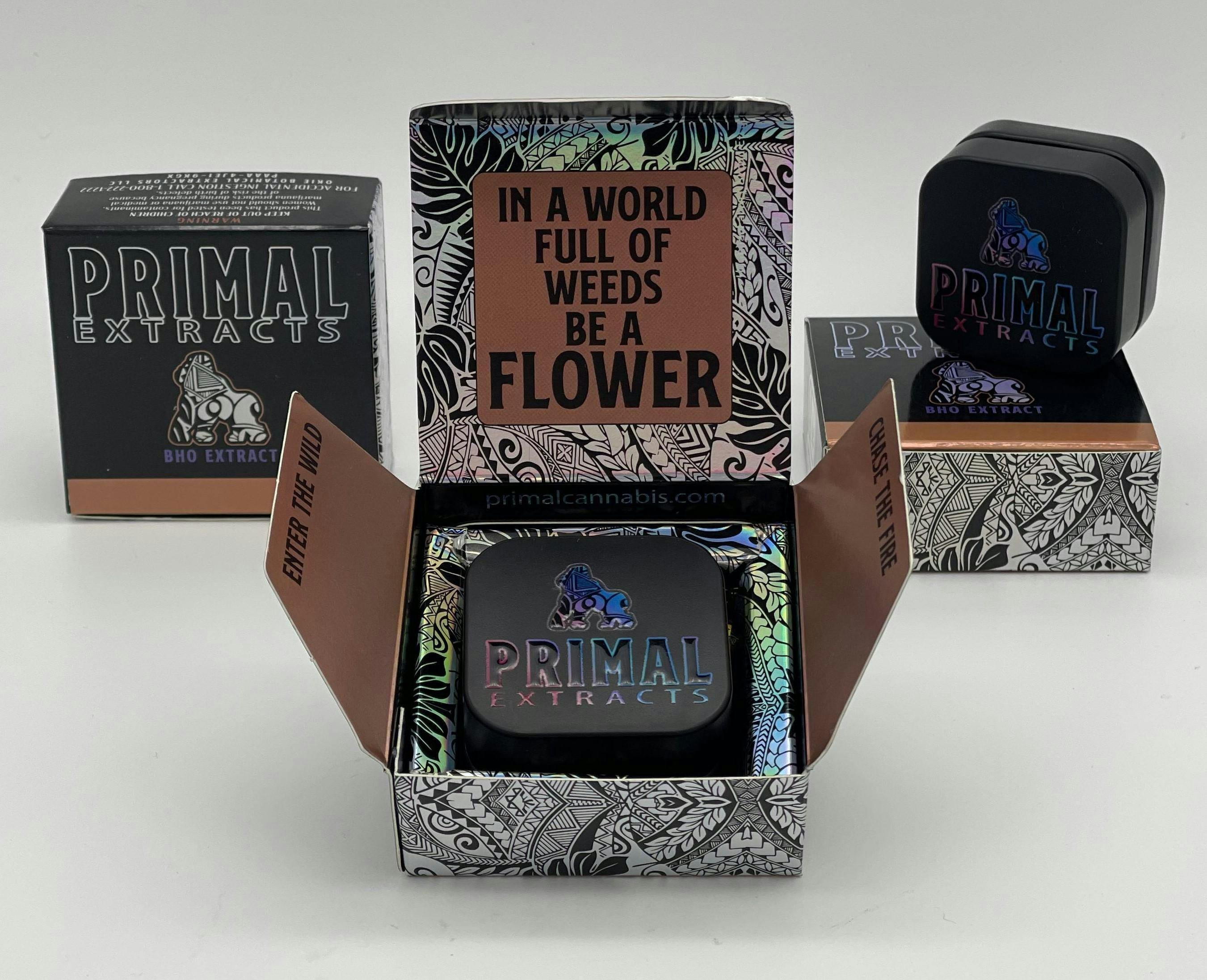 Fortune Cookies Live Badder