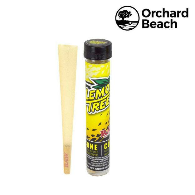 Raw - Orchard beach Terpene Infused Cones - Lemon Tree
