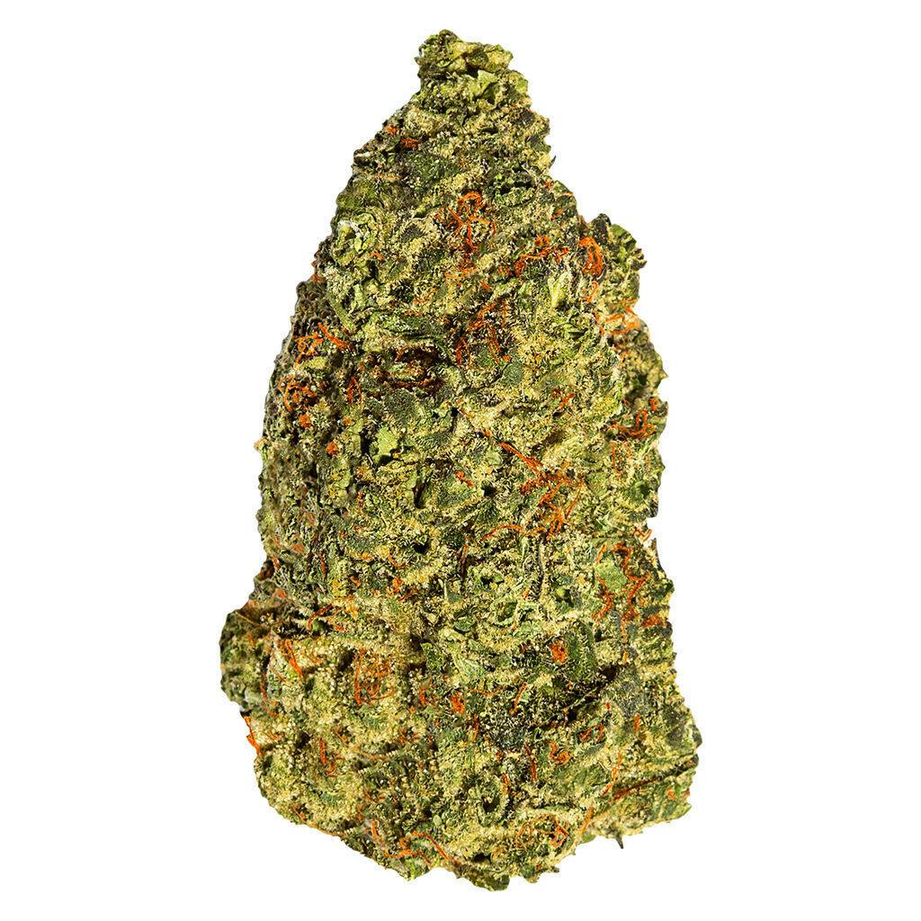Turbo Diesel Flower