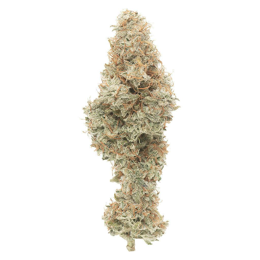 GOOD BUDS - Mango Cake Dry Flower - Sativa - 3.5g