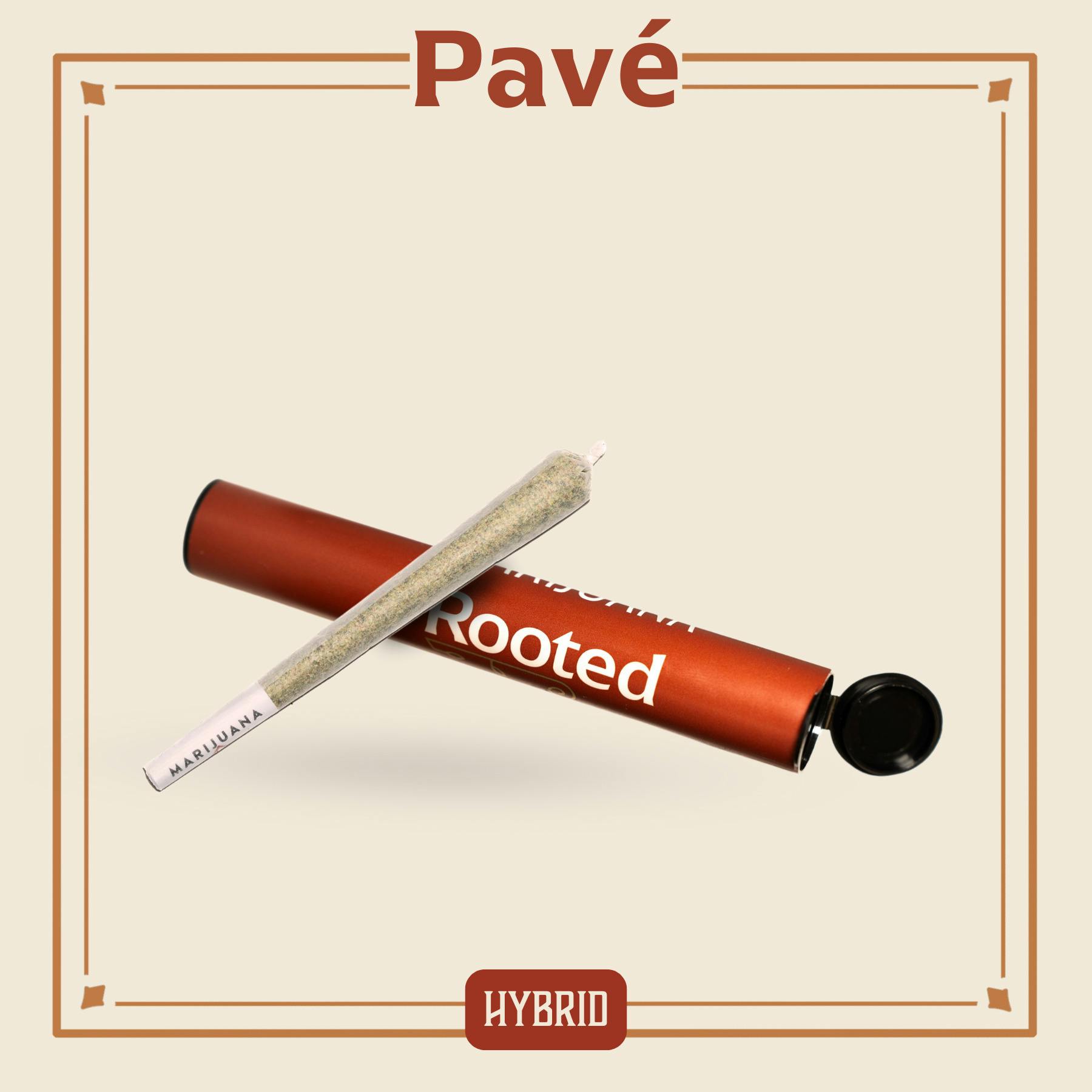 Pavé | PreRoll