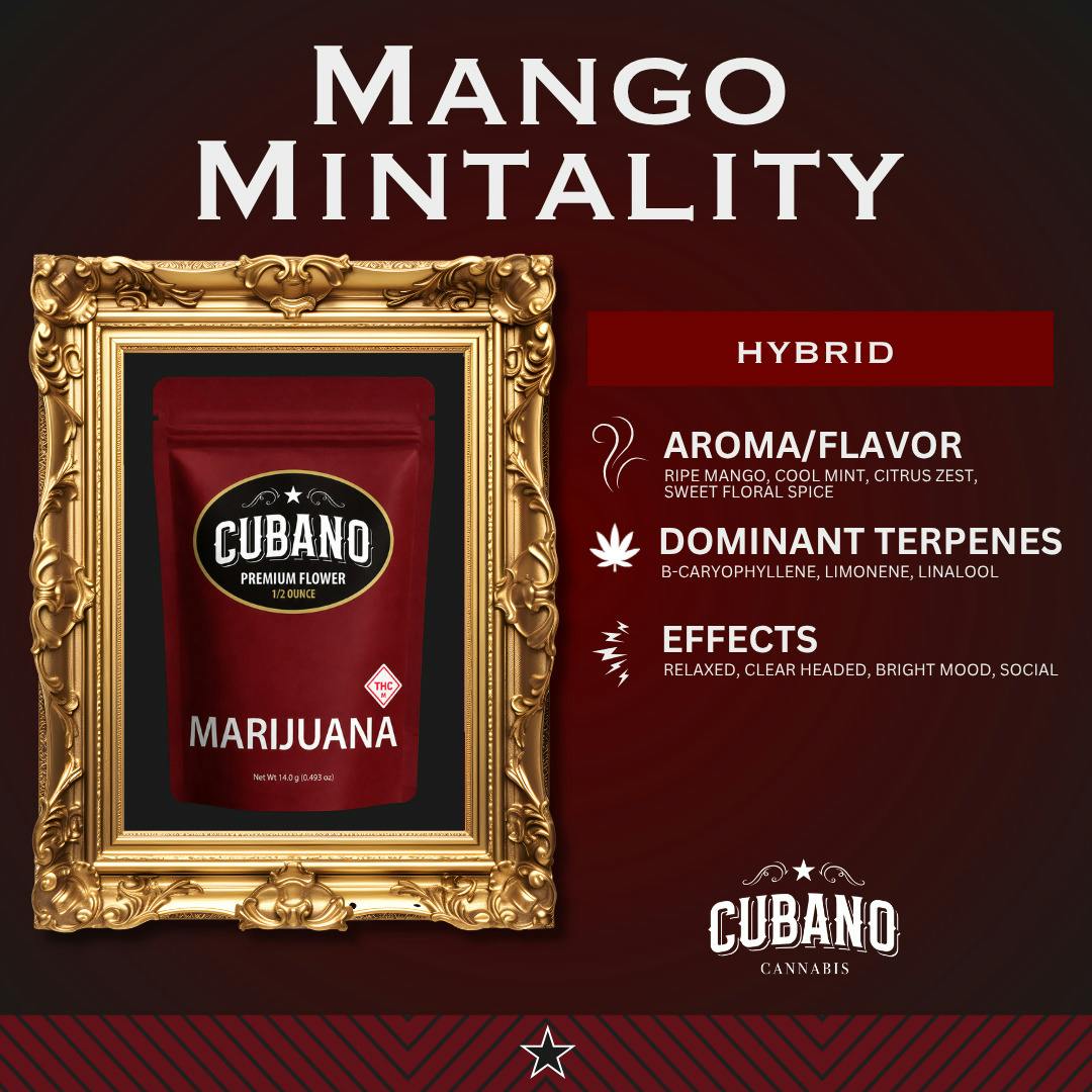 Mango Mintality | Popcorn
