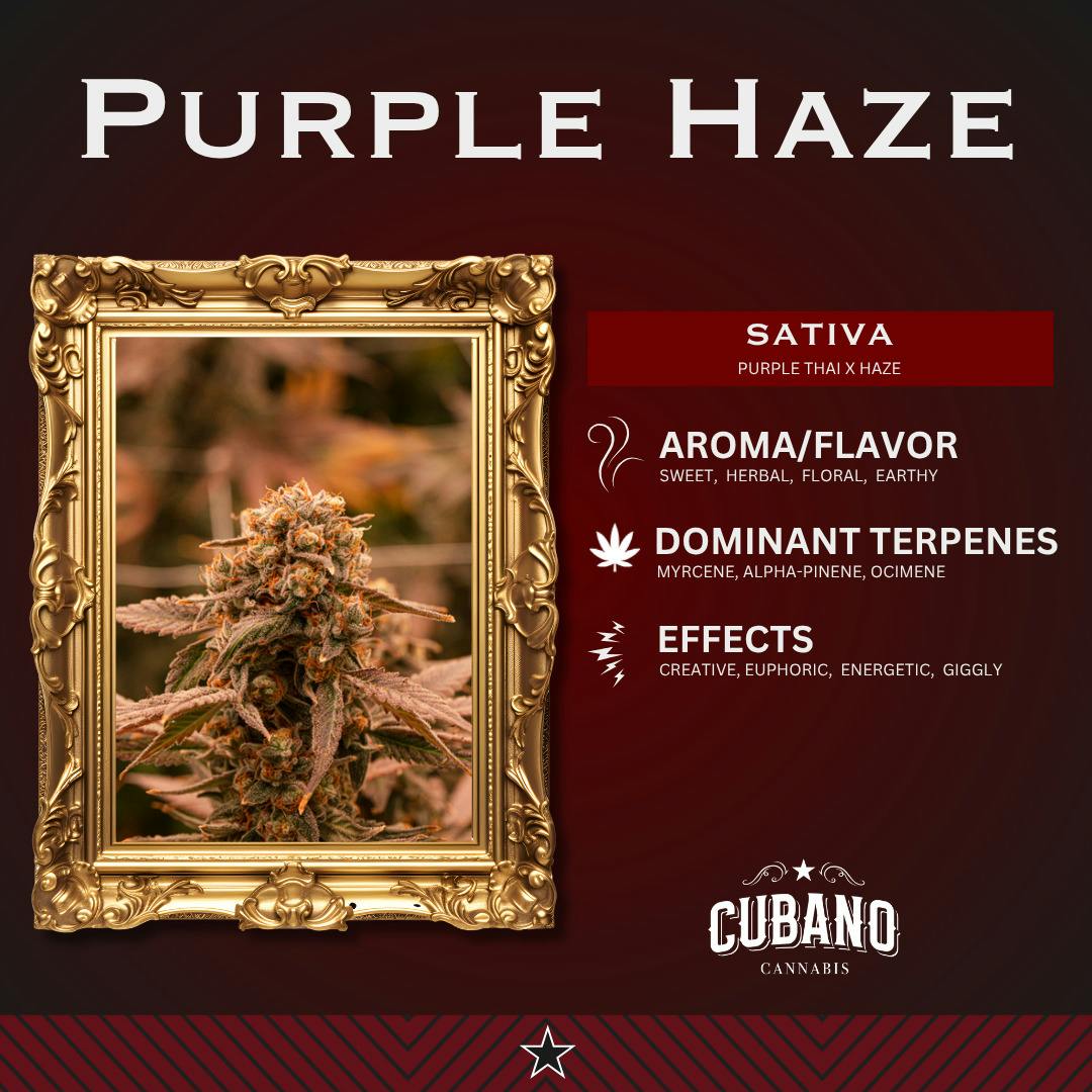 Purple Haze