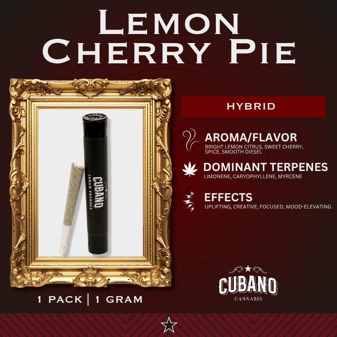 Lemon Cherry Pie | PreRoll