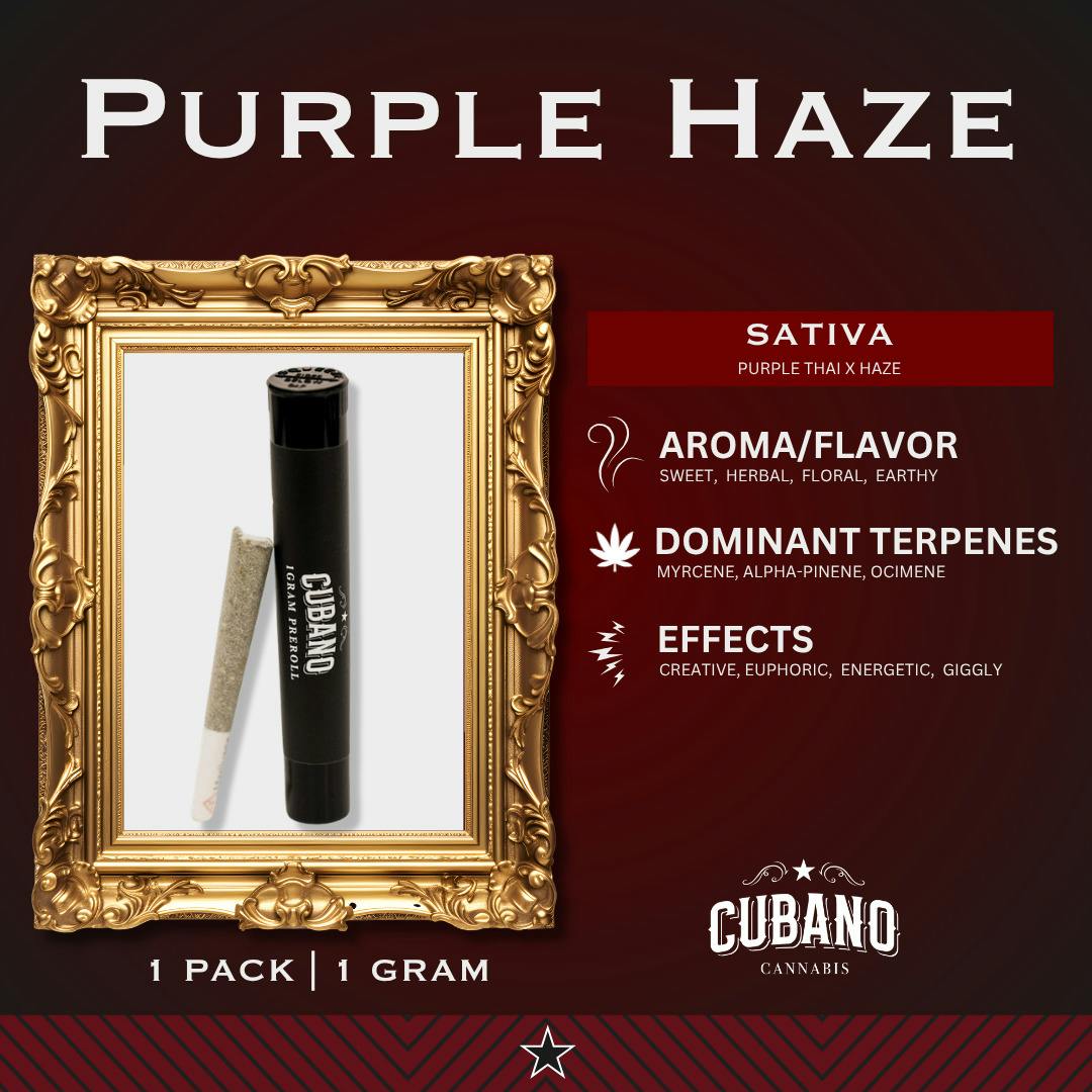 Purple Haze | PreRoll