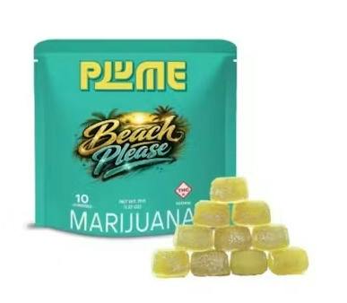 Beach Please Gummies 10pk