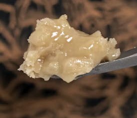 Kind Farms | Blue Lobster Hash Rosin 1g