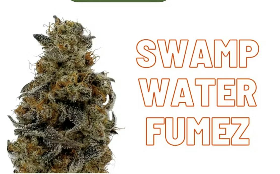 Rugged Roots Swamp Water Fumez Dime Bag Flower 1g at Just Baked