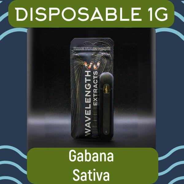 Gabana | Disposable 1g