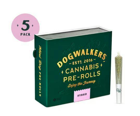 DOGWALKERS CHOCLAVA 5PK PRE-ROLLS 1.75G