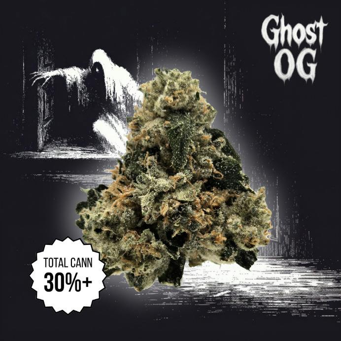 LEGACY GHOST OG POPCORN 14G
