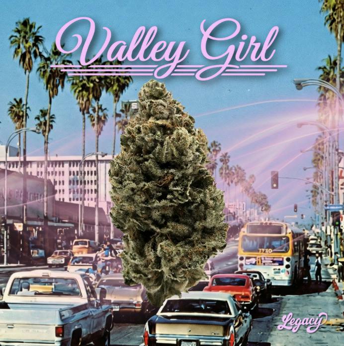 LEGACY VALLEY GIRL SHAKE 7G