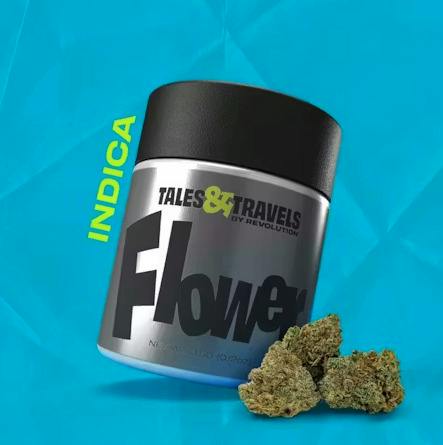 TALES & TRAVELS PURPLE PUNCH FLOWER 7G