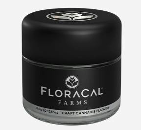 FLORACAL SLOW DISCO FLOWER 3.5G