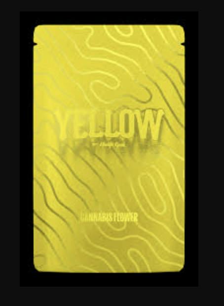 YELLOW POINT BREEZE FLOWER 14G
