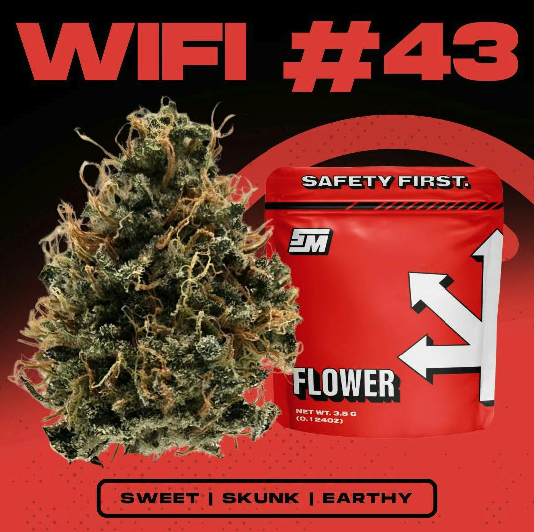SAFETY MEETING WIFI #43 POPCORN 7G
